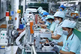 Young overseas Vietnamese prove crucial to homeland’s innovation
