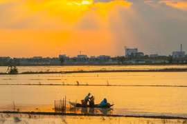 Mekong Delta hoped to see development breakthroughs