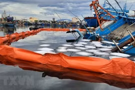 More risks of environmental incidents at sea amid pandemic