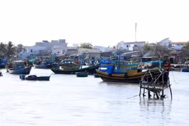 Fishing boats anchor on Ca Ty river, Phan Thiet city of Binh Thuan province (Photo: VNA)