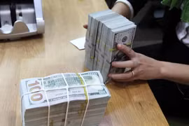 The State Bank of Vietnam sets the daily reference exchange rate at 24,252 VND/USD on July 29. (Photo: VNA)
