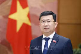 Chairman of the NA's Committee for External Relations Vu Hai Ha (Photo: VNA)
