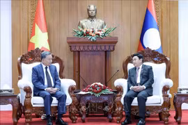 Vietnamese President To Lam (left) and Chairman of the Lao National Assembly Saysomphone Phomvihane at their meeting in Vientiane on July 11. (Photo: VNA)