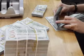 The State Bank of Vietnam set the daily reference exchange rate at 24,248 VND/USD on July 12 (Photo: VietnamPlus)