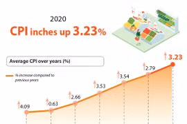 CPI inches up 3.23 percent in 2020