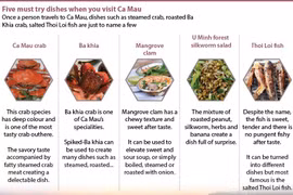 Five must try dishes when you visit Ca Mau