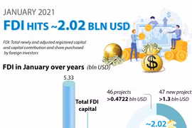 FDI hits 2.02 bln USD in January 