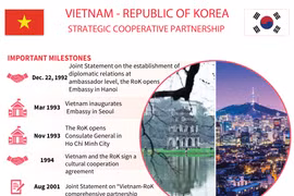 Vietnam-RoK strategic cooperative partnership