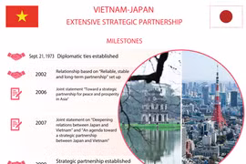 Vietnam-Japan extensive strategic partnership