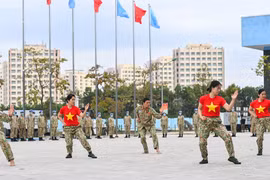 Blue beret sappers perform martial arts