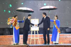 Tra Vinh hosts waxed coconut festival
