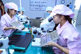 Vietnam-China trade cooperation sees practical, effective development