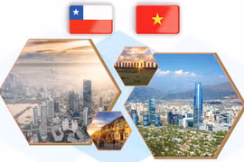 Vietnam-Chile Comprehensive Partnership