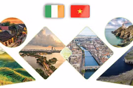 Vietnam-Ireland cooperative friendship