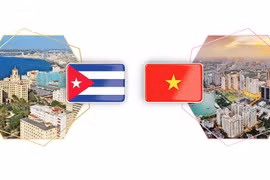 Vietnam-Cuba traditional solidarity, special friendship 