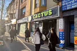A store introduces Cactus coffee products in Toronto, Canada. (Photo: VNA)