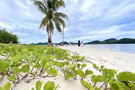 Koh Yao Yai, Phang Nga (Photo: https://www.bangkokpost.com/) 