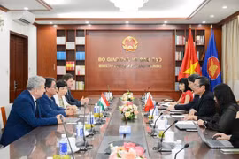 Representatives of the Vietnamese Ministry of Education and Training have a meeting with those from Hungary (Photo: PV/Vietnam+)