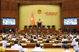 Participants at the session on June 17 morning (Photo: VNA)