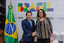 Ambassador of Vietnam to Brazil Bui Van Nghi (L) shakes hands with Brazilian Minister of Science, Technology, and Innovation Luciana Santos (Photo: VNA)