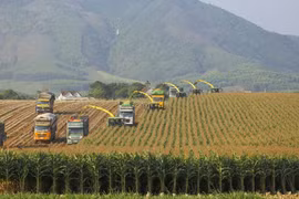 Changing the face of the Central Highlands: TH Group develops green, circular economy