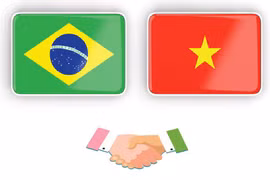 Vietnam-Brazil Comprehensive Partnership