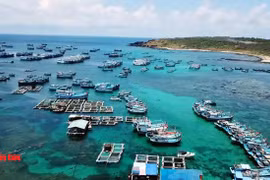 Phu Quy island tourism soars