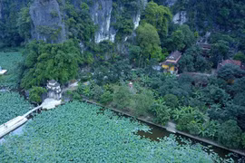 Bich Dong pagoda in lotus season