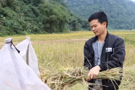 Effective use of soft loans fosters sustainable poverty reduction