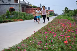 Special policies vital for remote communes in new-style rural building