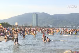 Da Nang tops Vietnamese tourists’ popular destinations