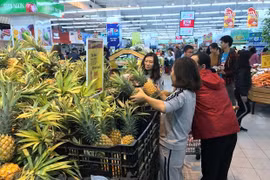 Vietnam aims to complete export turnover goal for 2019