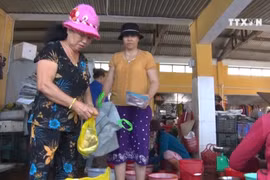 Cu Lao Cham – pioneer in environmental protection
