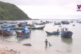 Aquatic product exporters hope for recovery
