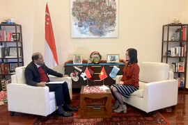 Huge potential for Vietnam, Singapore to cooperate in sustainability