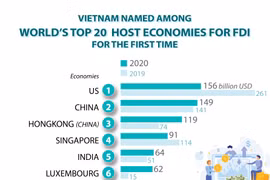Vietnam among world's top 20 host economies for FDI