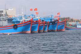 Quang Binh working to remove EC “yellow card” on IUU fishing