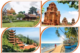 A tour to fabulous Binh Thuan province