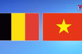 Vietnam - Belgium relations constantly developing