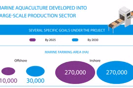 Marine aquaculture developed into large-scale production sector
