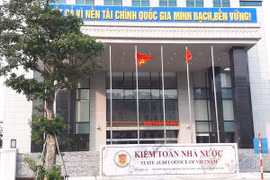 Vietnam develops environmental audit on par with int’l trend