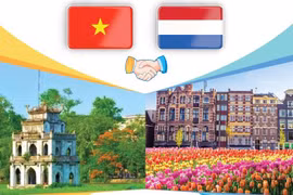 Vietnam, Netherlands enjoy thriving ties