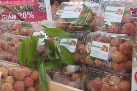 “Golden time” for Vietnam’s lychee exports coming: experts