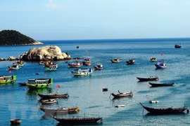 Da Nang takes numerous measures to become sea-based economic hub
