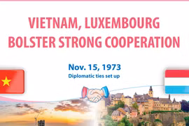 Vietnam, Luxembourg bolster strong cooperation