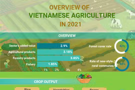 (Interactive) Overview of Vietnamese agriculture in 2021