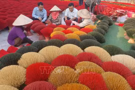 Hanoi’s Ung Hoa district develops historical-cultural tours