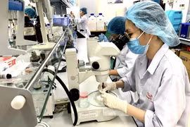 VNU-HCM promotes publication on international scientific journals
