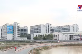 Nationwide urbanization rate reaches 41 percent
