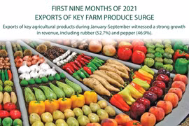 Exports of key farm produce surge in nine months